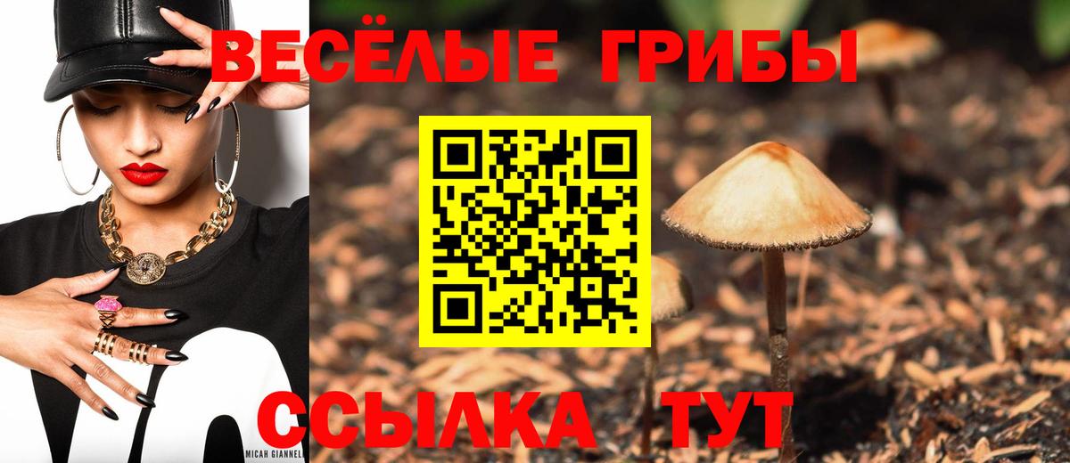 Псилоцибиновые грибы мицелий Шадринск